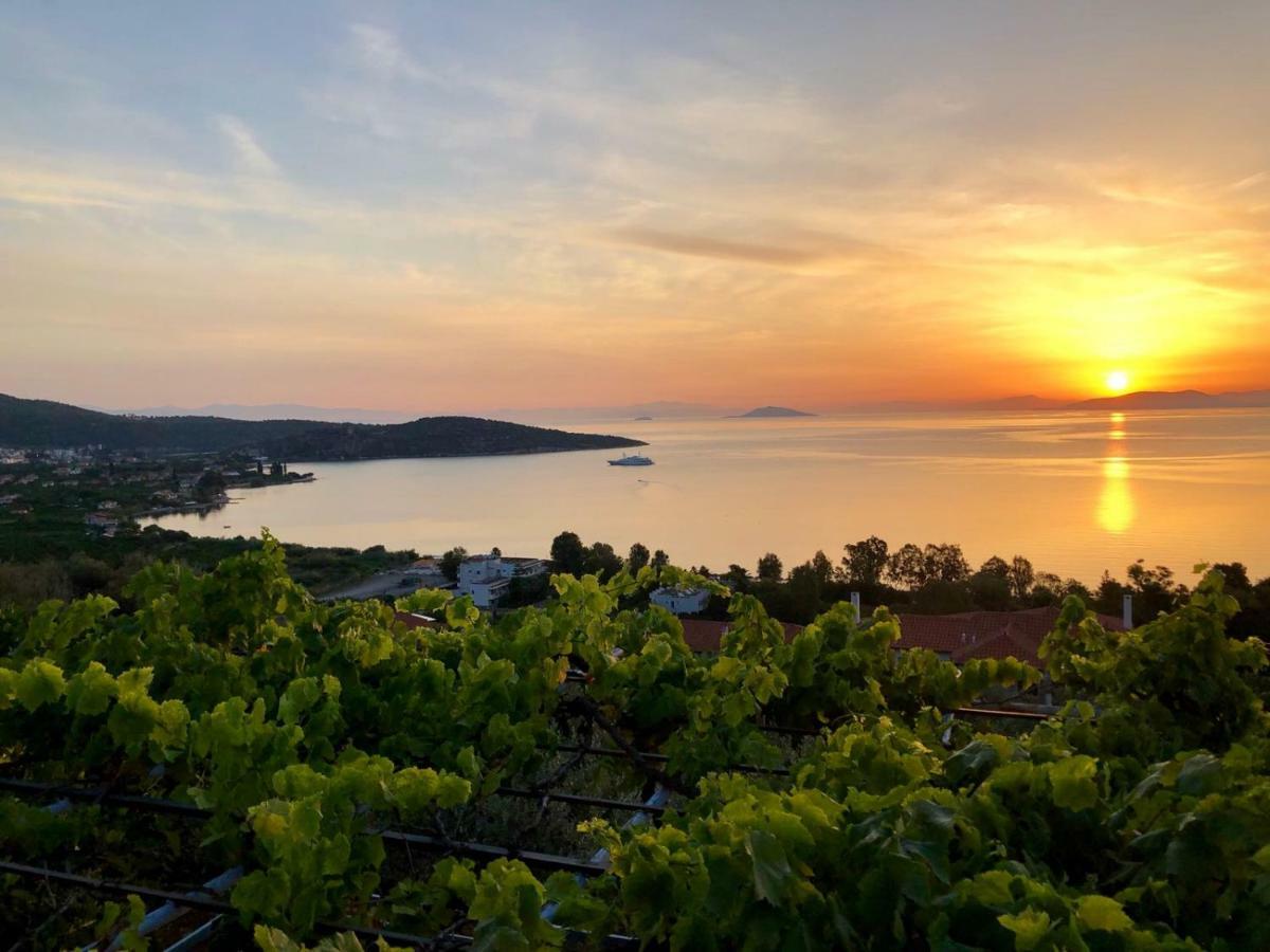 Villa Krassi Epidaurus Esterno foto