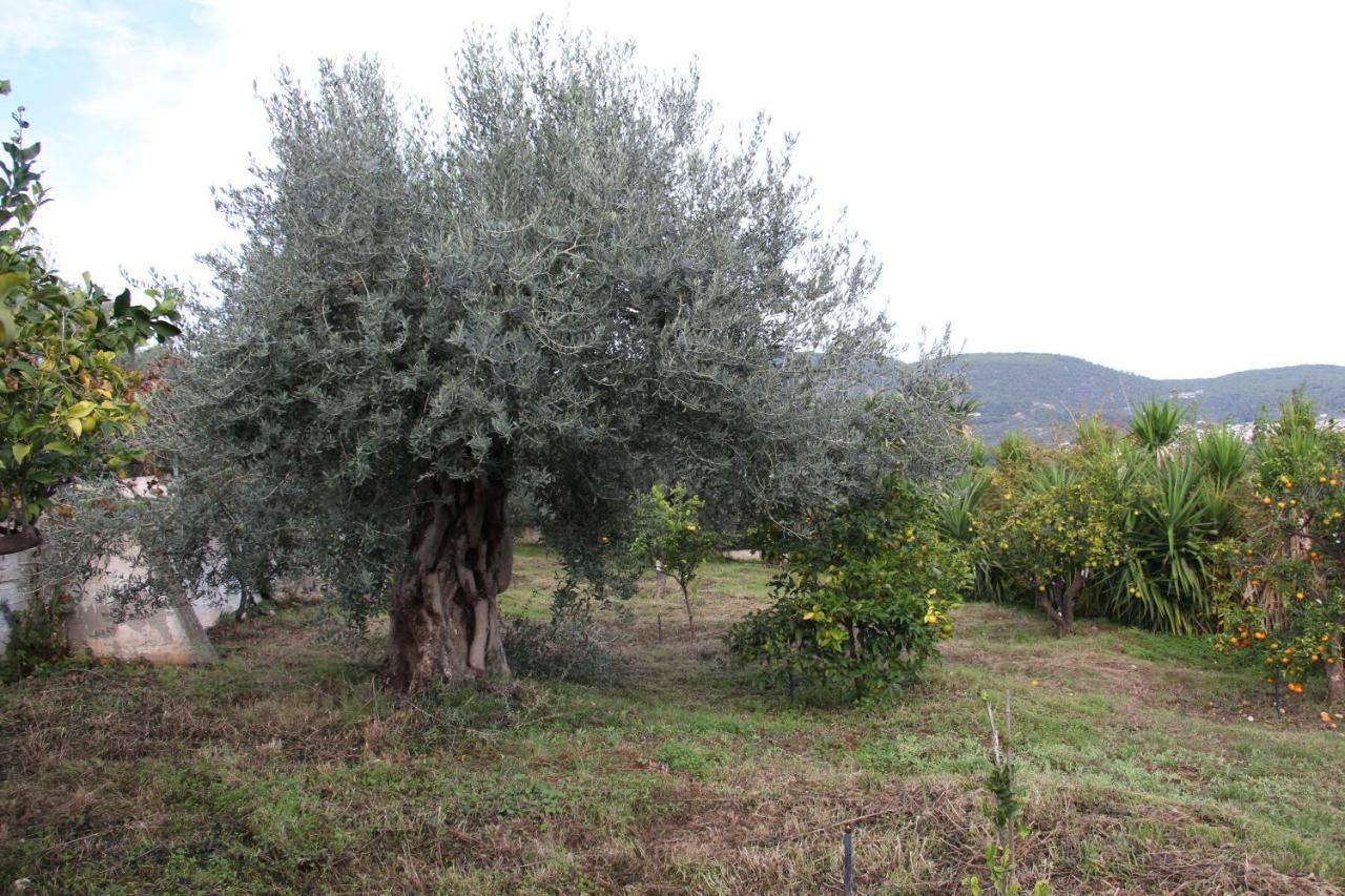 Villa Krassi Epidaurus Esterno foto